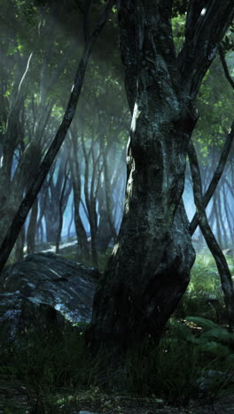 enchanted forest: a dark and mysterious path