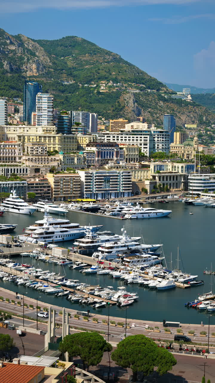 View of boats docked in the Monaco Marina with the skyline of the city on the background. Vertical