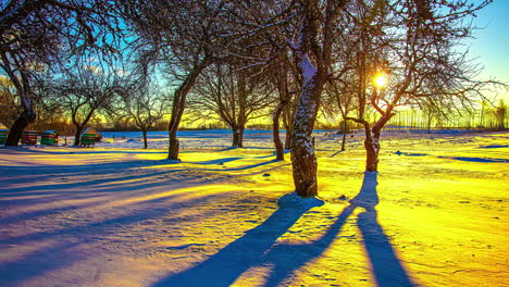 vibrant bright and colorful sunrise time lapse over a winter landscape with dynamic motion