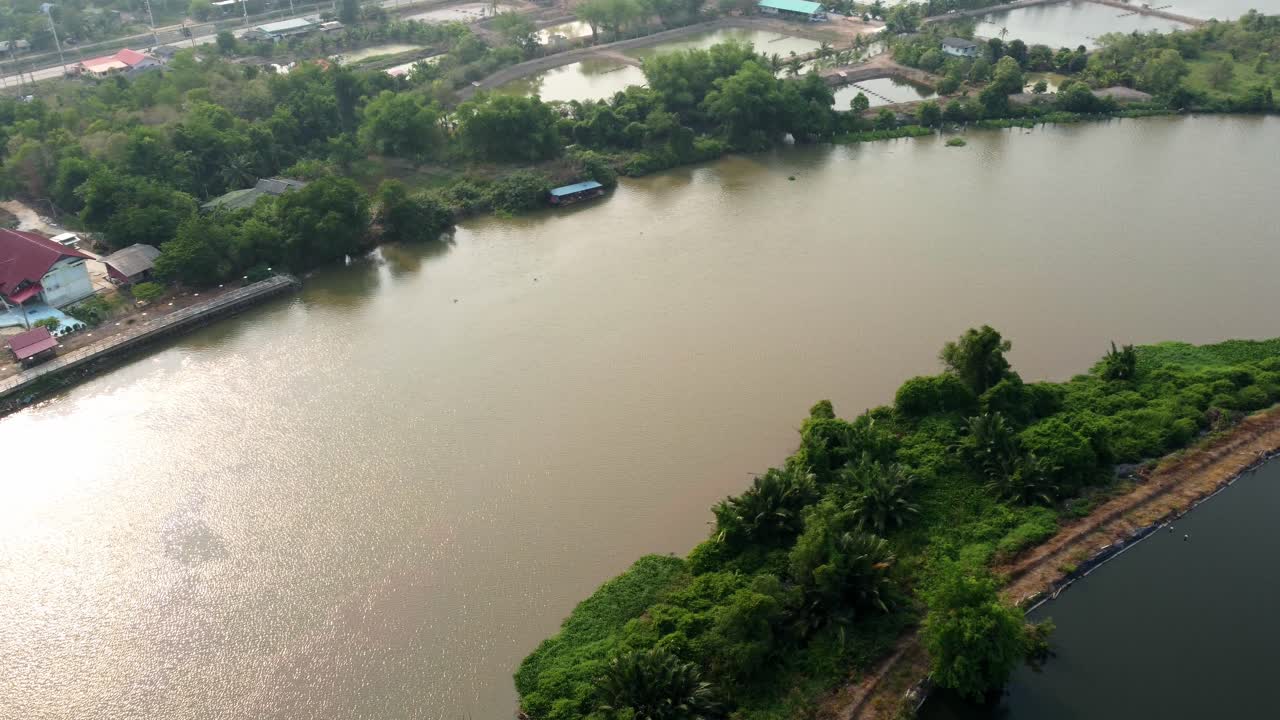 비행 환경 식물 녹색 숲과 강변