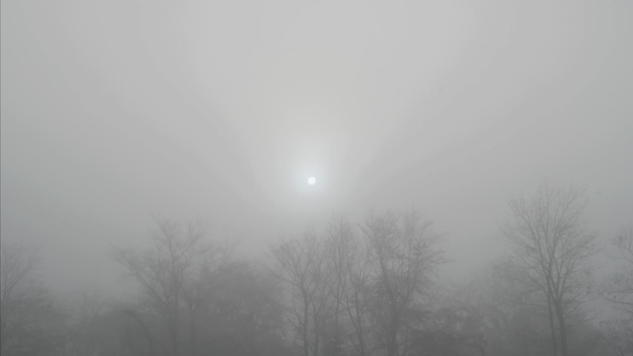 misty sunrise in Lommel Belgium.