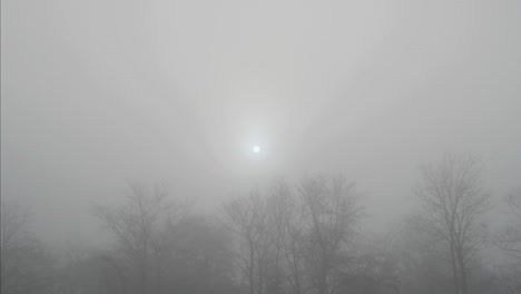 misty sunrise in lommel belgium.