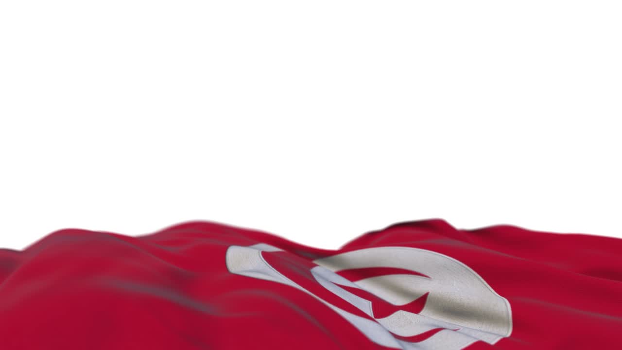 Tunisia fabric flag waving on the wind loop. Tunisian embroidery stitched cloth banner swaying on the breeze. Half-filled white background. Place for text. 20 seconds loop.
