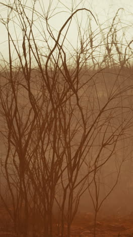 a hazy, dry landscape with dead branches silhouetted against a dusty sky