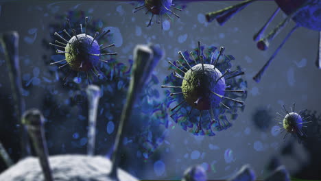 coronavirus covid-19 macro animation of blue pathogen viruses floating on blood cells background