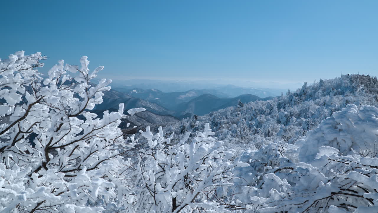 バルワンサン・マウンテン・モナ・パークの雪に覆われた凍った木背景の山脈の遠くの景色南朝鮮のガンウォン・ドー冬 - スローモーションで傾き上がる