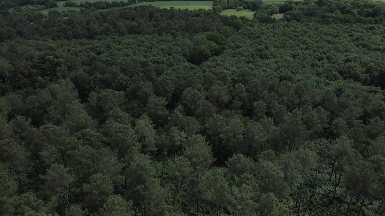 Broceliande forest in Brittany, France. Aerial forward