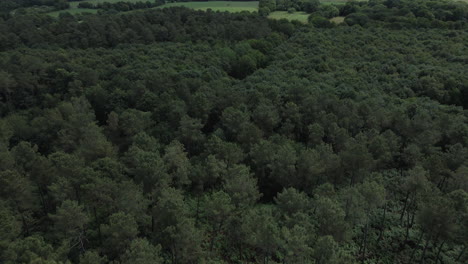 Bosque-De-Brocelianda-En-Bretaña,-Francia.-Aéreo-Hacia-Adelante