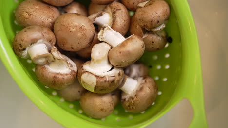 Top-down-view-panning-view-of-mushrooms-in-a-straining-for-washing