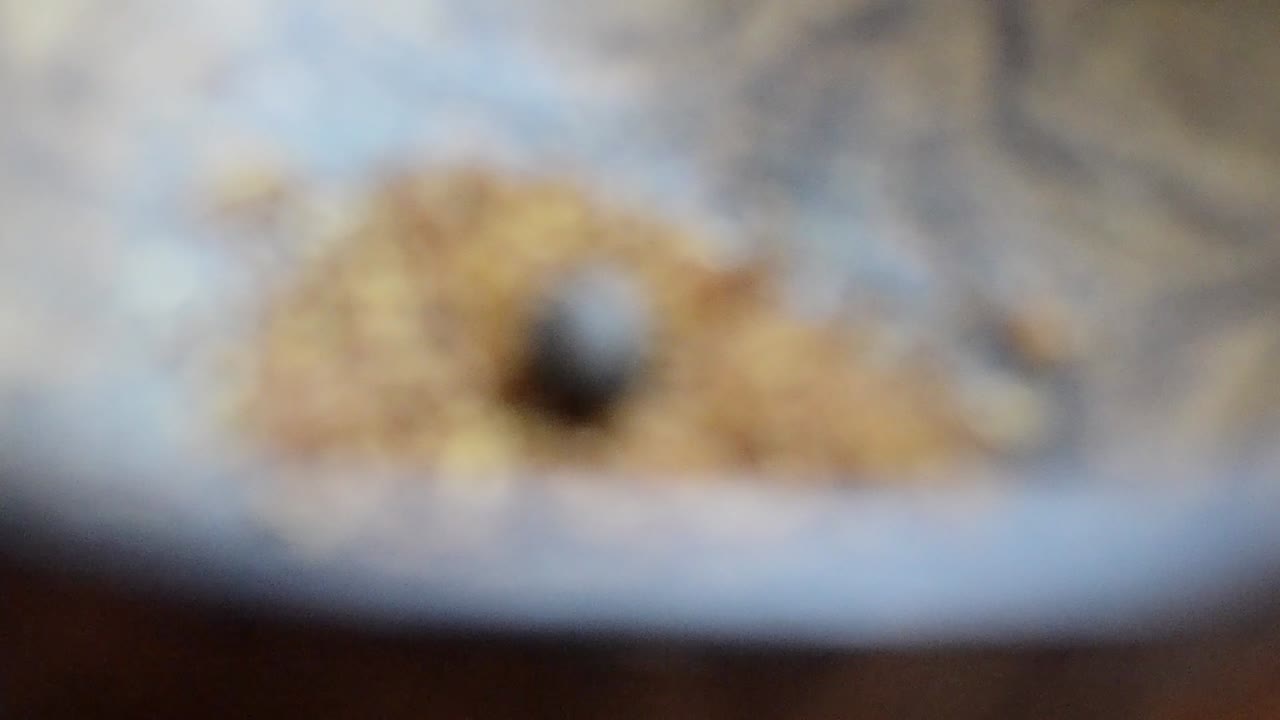 A hashish ball lies on tobacco, in a coconut bowl