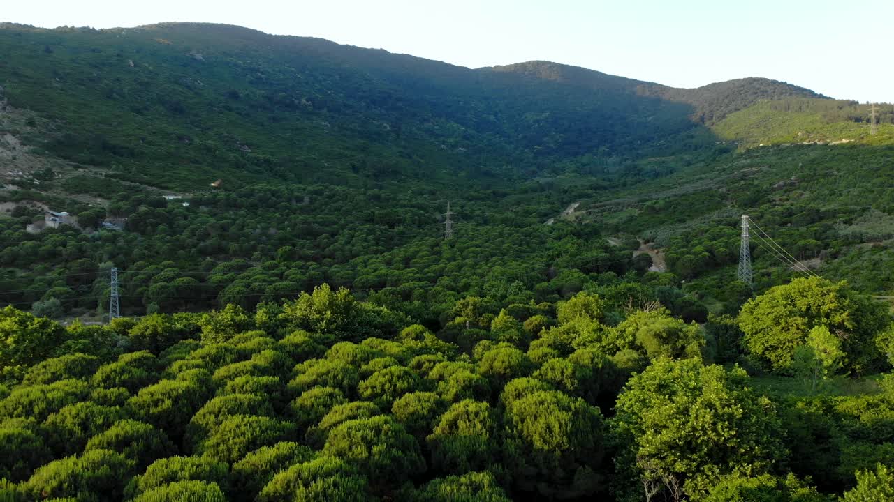 vuelo aéreo hacia atrás sobre el bosque, turquía