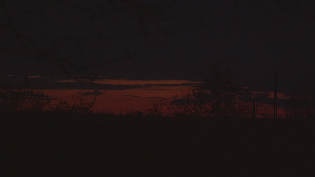 Dark Orange Sky At Night After Sunset Tree Silhouette
