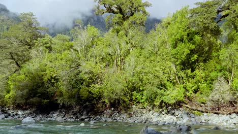 Handheld-panning-to-the-right-of-the-Rio-Blanco-in-Hornopiren-National-Park,-Hualaihue,-Chile