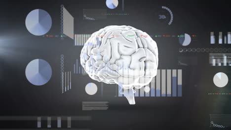 animación del procesamiento de datos sobre el cerebro humano en fondo gris