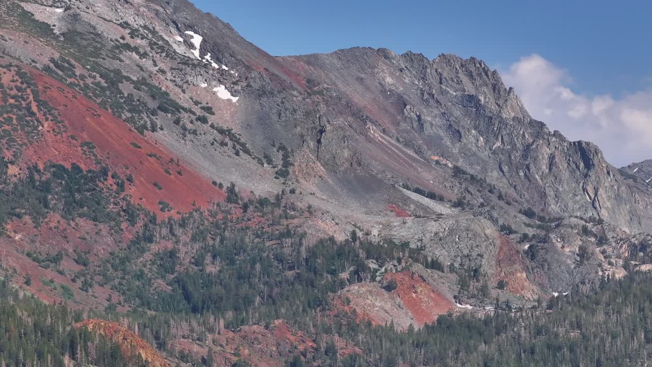 Drone tracks smoothly along the forest canopy in the Mammoth Lakes Basin then tilts up to reveal blue alpine water and rugged Sierra peaks under bright summer light. Evergreen texture and reveal