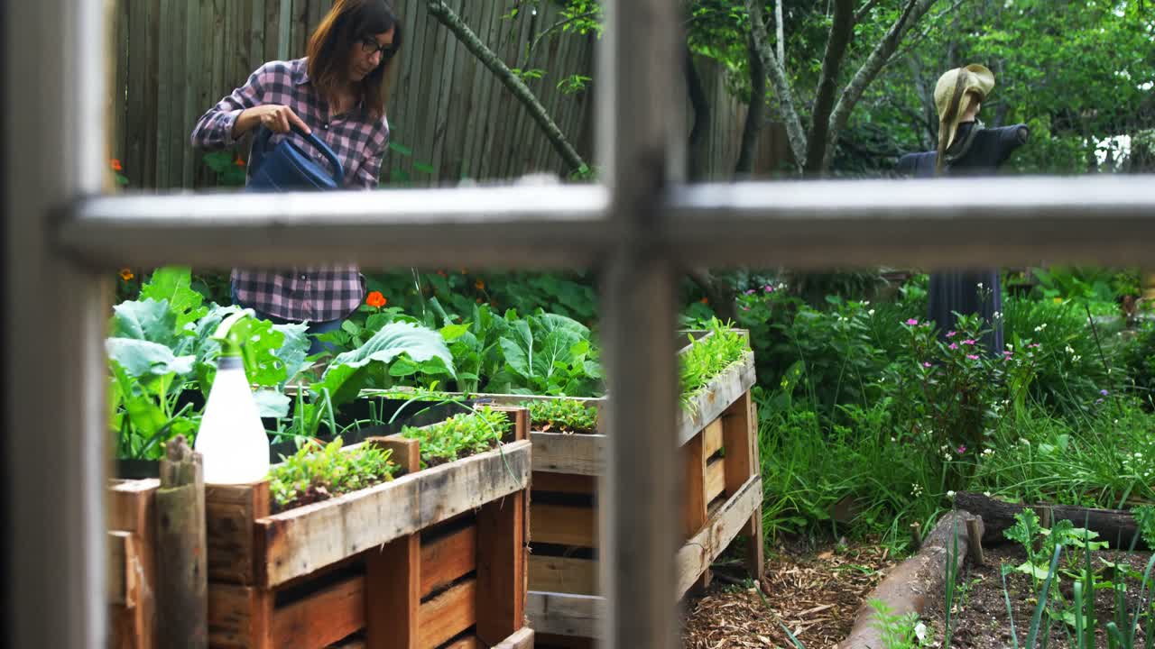 성숙 한 여자 가 정원 에서 식물 에 물 을 주고 있다 4k