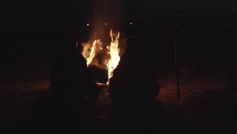 conversación de fogata de 2 hombres, noche oscura 4k