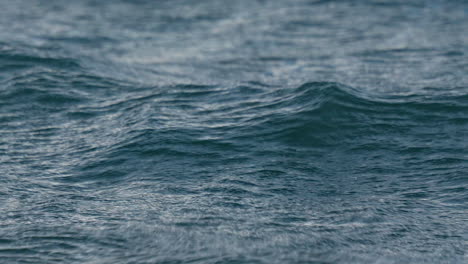 primer plano de las onduladas olas azules del océano