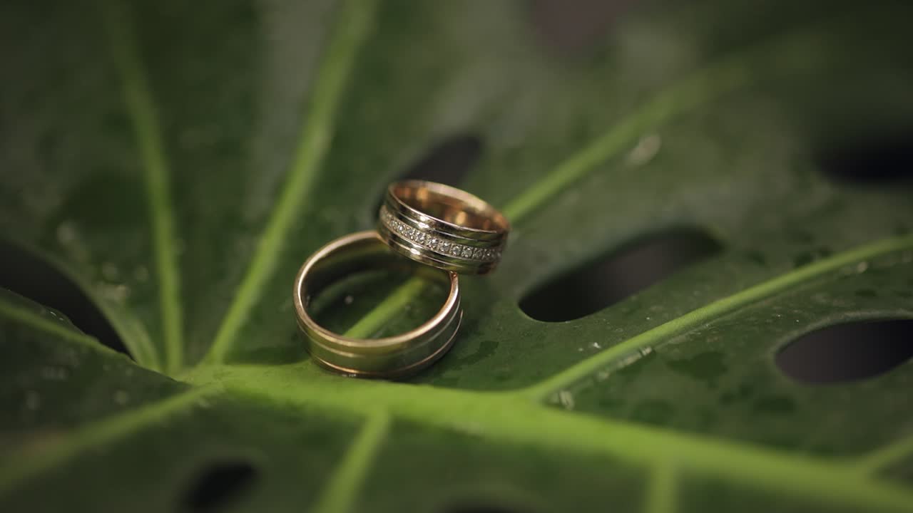 Wedding rings on a green wet leaf after rain. Wedding details and accessories