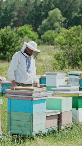 beekeeper is working with bees and beehives on the apiary. frames of a bee hive vertical video