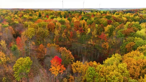 colors peaking in bright yellows and full reds in autumn 2023