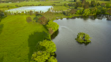 revealing tracking shot, the aerial view moves backward, gradually revealing a bird's nest within a small island of trees in the lake