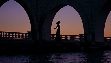 silhouette of a woman on a bridge at sunset