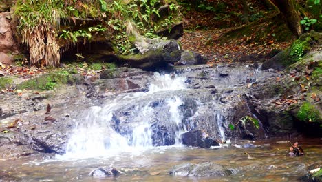 Cold-clear-shallow-stream-cascading-over-Autumn-woodland-rocks-in-countryside-park-forest