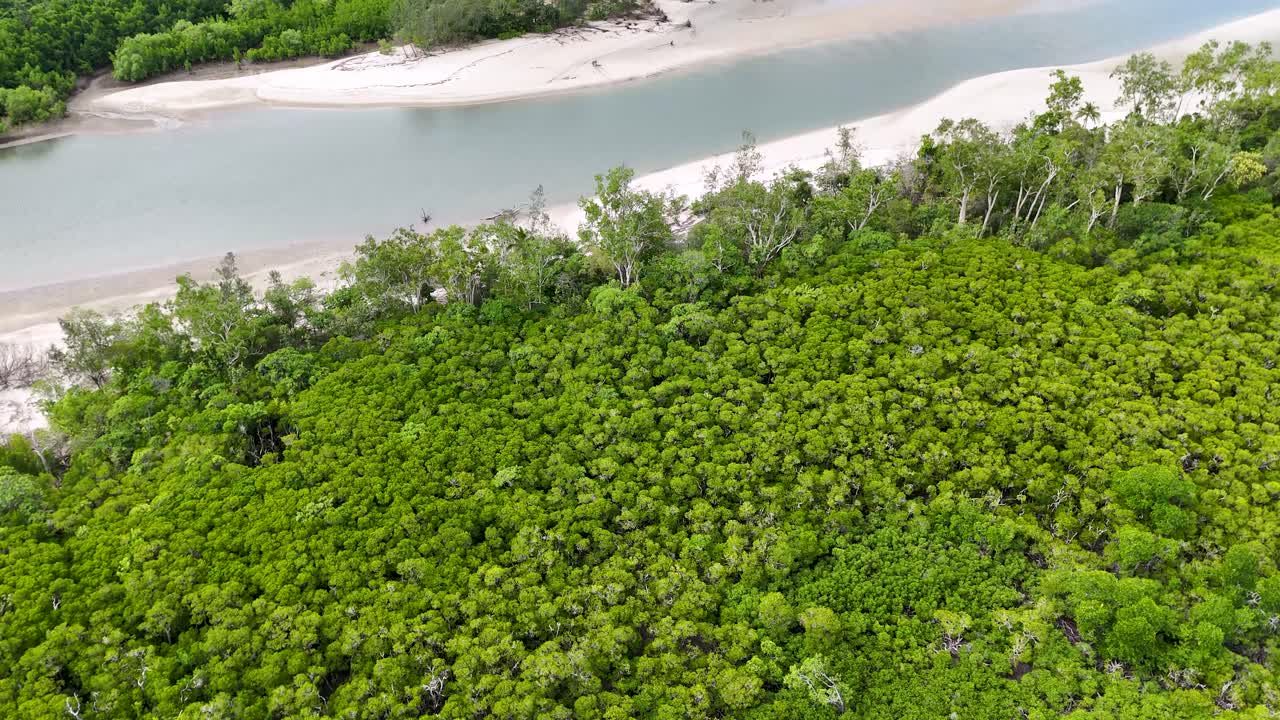 Drone glides above lush rainforest canopy toward sandy riverbank and turquoise water in daylight