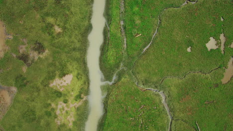 drone looking down over estuary stream