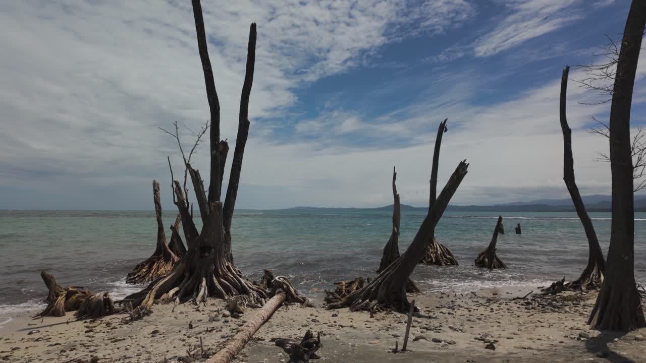 Beach with driftwood and turquoise waters in Cahuita National Park, Costa Rica