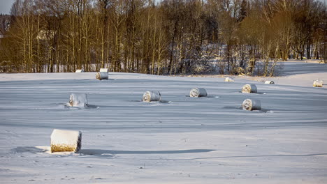 El-Heno-Fardo-Se-Deja-En-Un-Campo-Cubierto-De-Nieve-Fresca,-Con-Algunos-árboles-Al-Fondo.