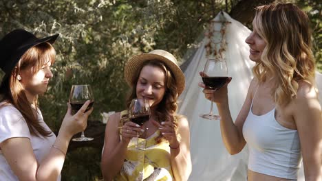Attractive-women,-girlfriends-on-a-picnic-outdoors.-Celebrating-and-clinking-with-wine-glasses.-Drinking-alcohol.-Slow-motion