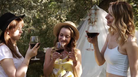 attractive women, girlfriends on a picnic outdoors. celebrating and clinking with wine glasses. drinking alcohol. slow motion