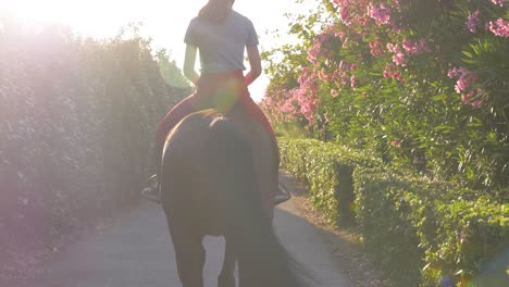 Slowmotion-rising-shot-of-multiple-riders-out-a-walk-on-their-horses