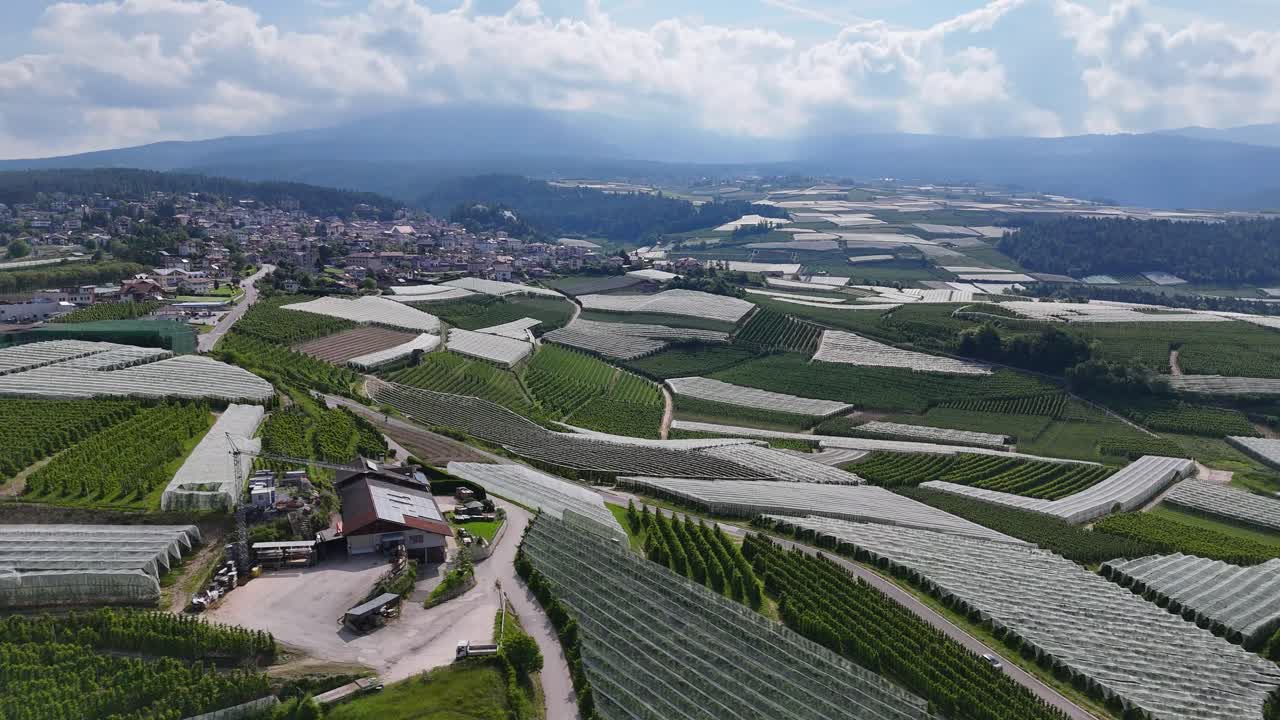 Drone video captures apple tree nursery and greenhouses in Trentino, surrounded by fields under a sunny sky with distant mountains