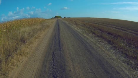 the car is moving along a dirt road through fields