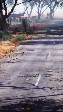 long, empty road through the australian outback