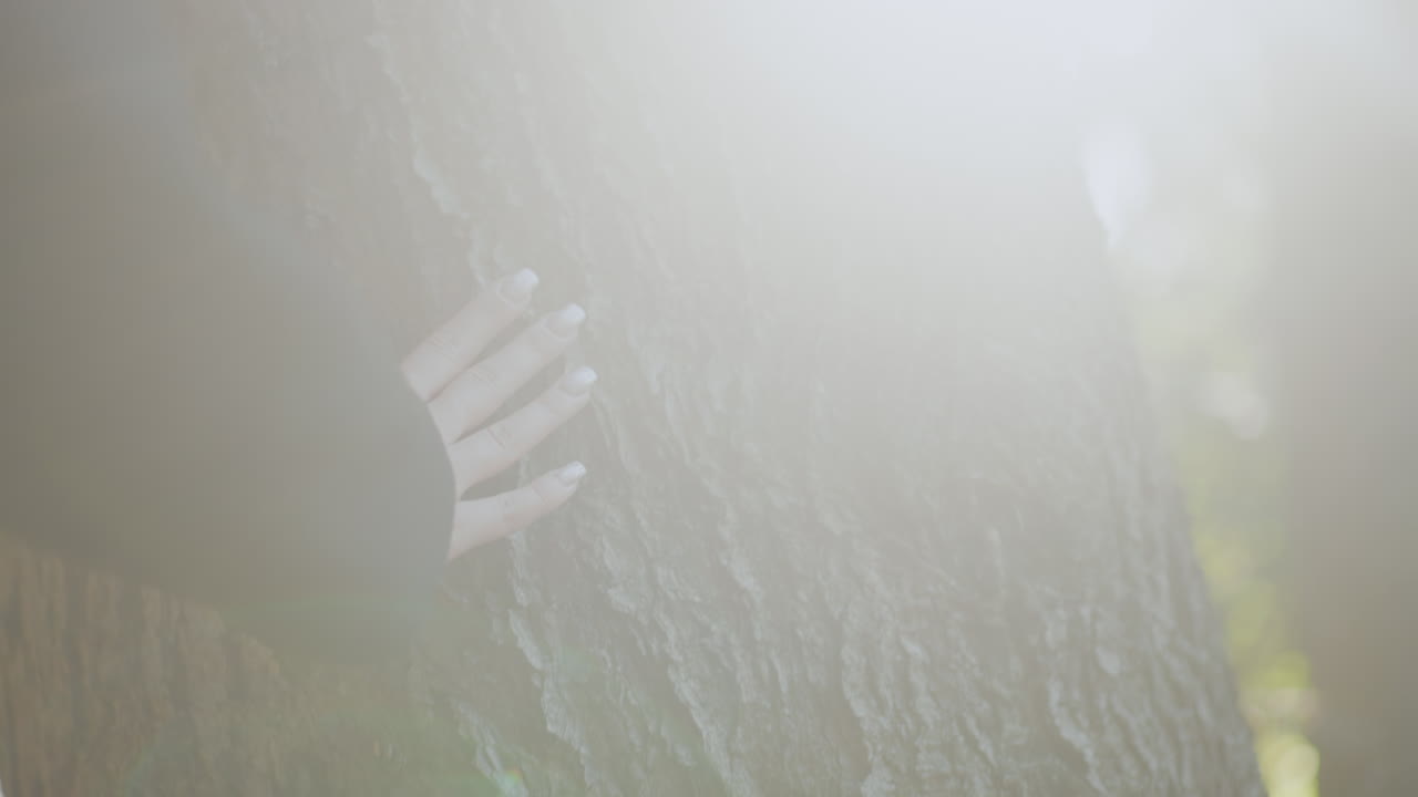 손톱 관리를 받은 자연을 사랑하는 손이 숲 속에서 따뜻한 가을 햇살 아래 거친 나무 껍질의 텍스처를 천천히 느끼며, 차분한 웰빙 분위기 속에서 숲과의 교감을 표현해요.