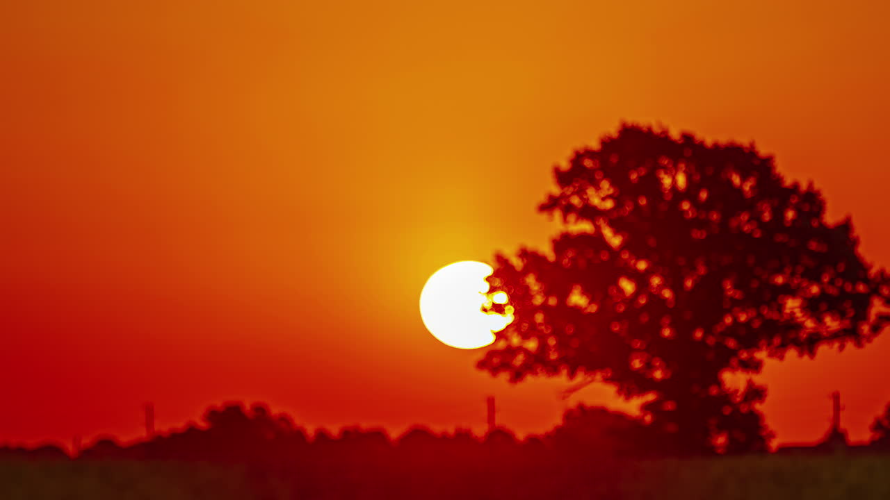 해가 뜨면 노란색 라프시드  위에서 배경에서 뜨는 태양의 타임스