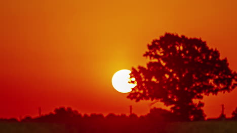 Timelapse-shot-of-sun-rising-in-the-background-over-yellow-rapeseed-field-at-sunrise