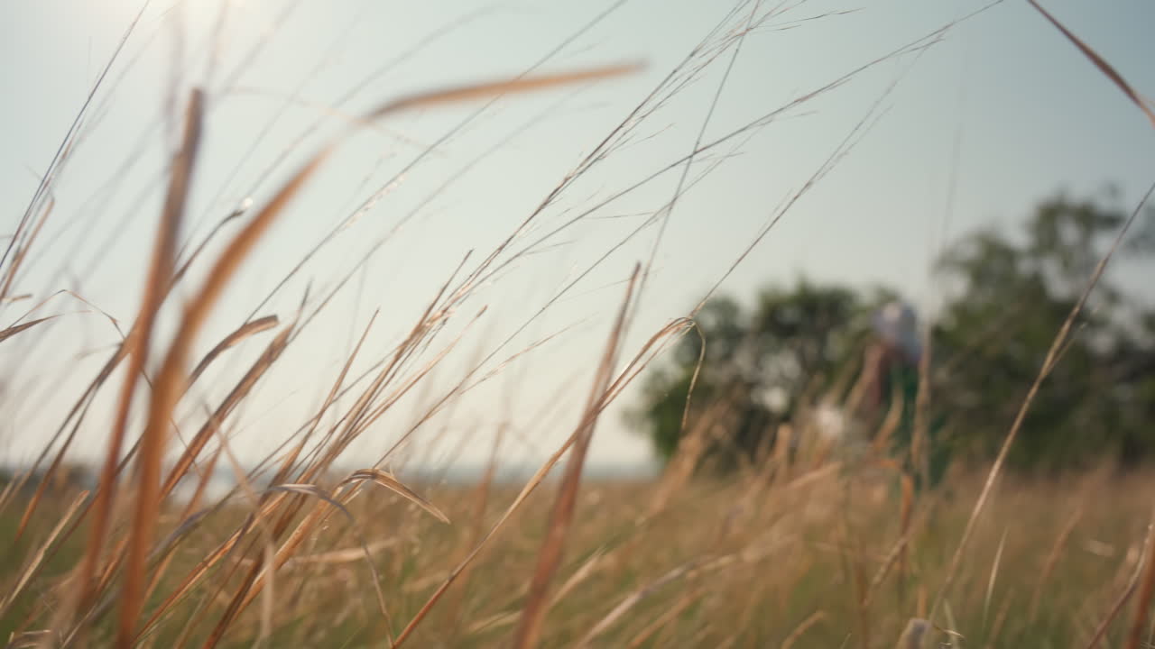 woman in green dress dancing joyfully in tall grass while photographer captures movement from low angle with soft sunlight and blurry foliage creating dreamy artistic countryside