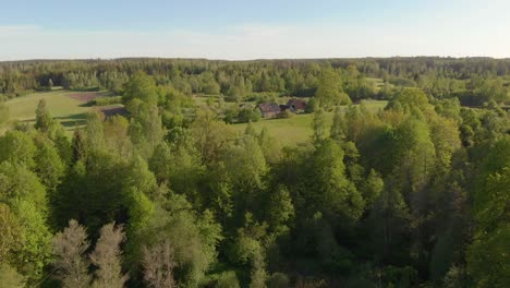 fast aerial over the forests of the latvia kurzeme on a sunny afternoon