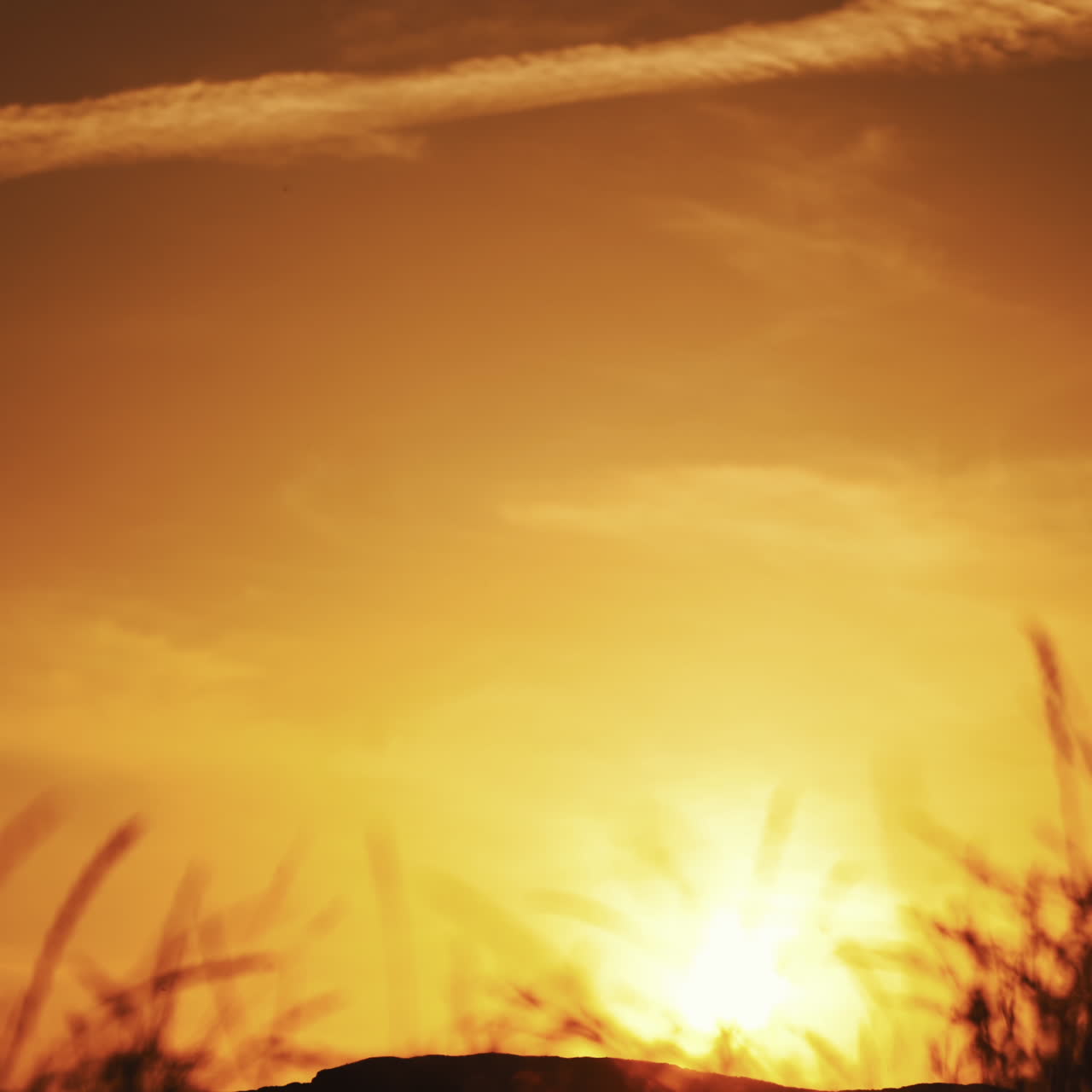 Young man with helmet walking with his bicycle on the orange sky background in the evening. Amazing view of a golden setting of a sun and a silhouette of a cyclist going next to his bike.