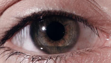 primer plano de un ojo humano