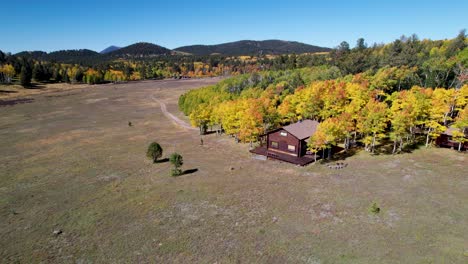 Luftaufnahmen-Einer-Hütte-In-Espenbäumen-Im-Herbst