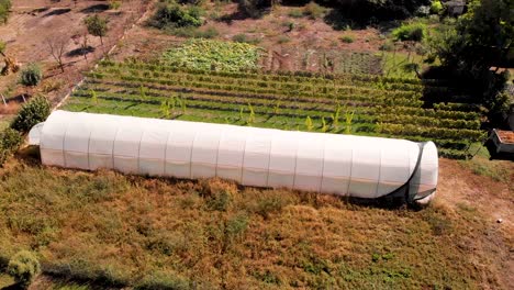 Aerial-drone-footage-orbiting-around-the-plastic-greenhouse-in-the-garden