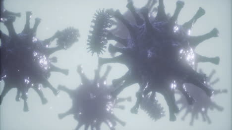 exploring the intricate world of microscopic organisms under a light microscope