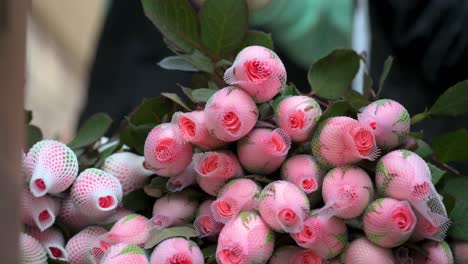 a vendor prepares pink petal roses for sale individually at a flower market during valentine's day