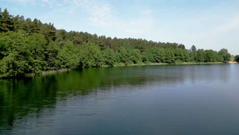 drone view of a forest by a lake, flying low over the water